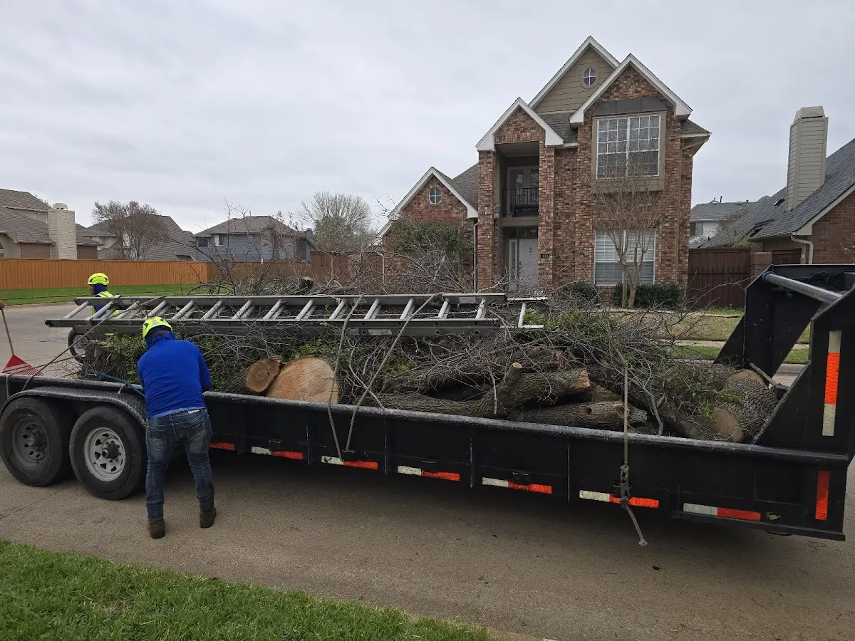 Expert Tree Fertilization with proper safety equipment in Prairie View